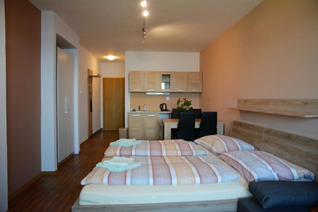 Pension Calla Dolni Vltavice Екстер'єр фото